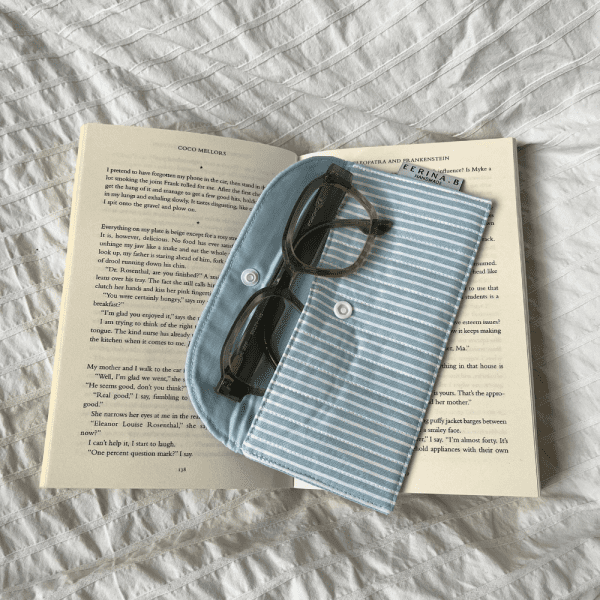 Glasses Case - Blue stripe